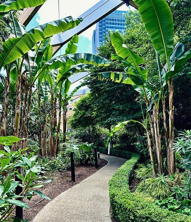 Crossrail Place Roof Garden (Canary Wharf)