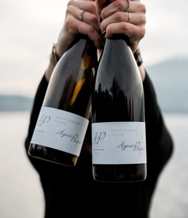 sélection de vins rares et millésimes a Annecy