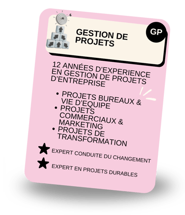 Gestion de projets PMO Paris