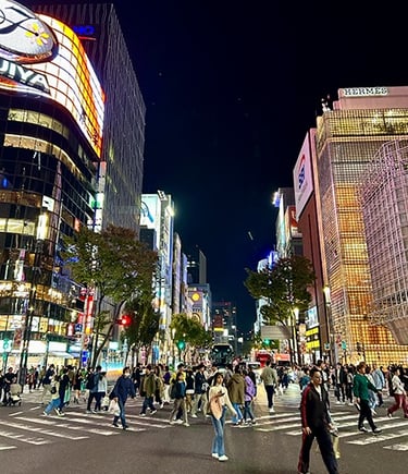 Quartier de Ginza