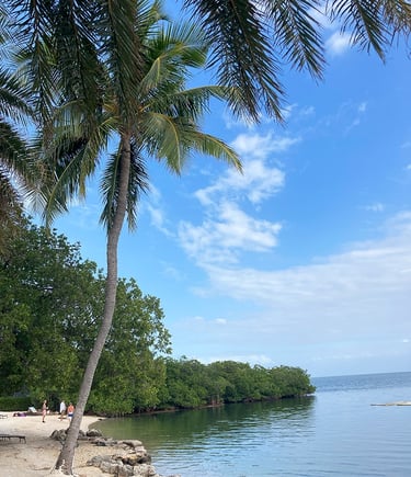 Plage de l'hotel Pelican Cove Resort & Marina, Islamorada