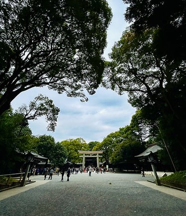 Temple Meiji-jingu