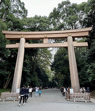 Entrée du temple Meiji-jinu