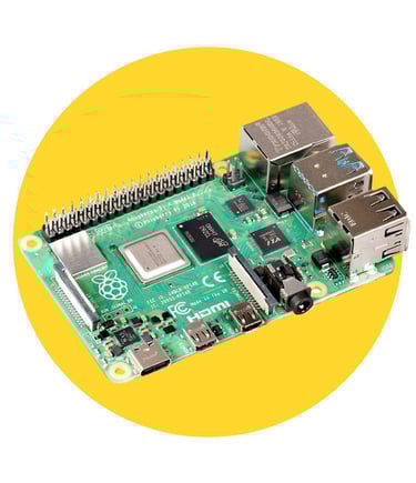 a raspberry raspberry raspberry raspberry raspberry