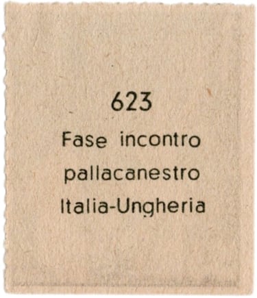 Pallacanestro Albosport Editrice Didasco Italia-Ungheria