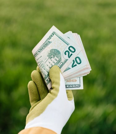 a person holding a stack of money in their hands