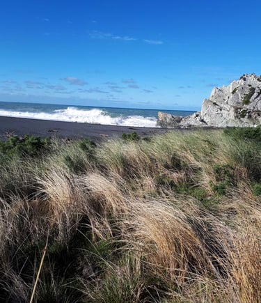 NZ, North Island, White Rock, New Zealand