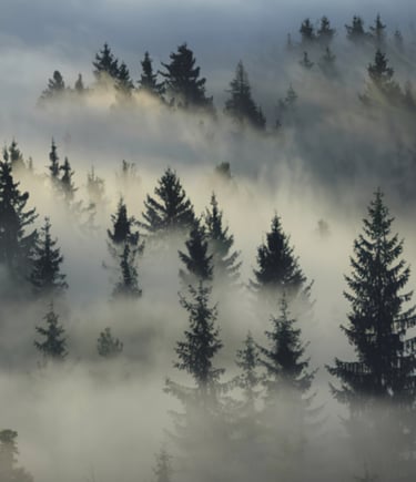 Errores en la web de tu clínica