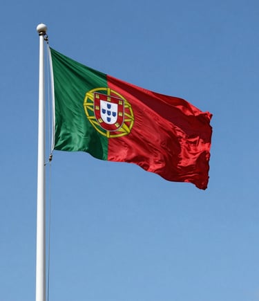 red green and yellow flag
