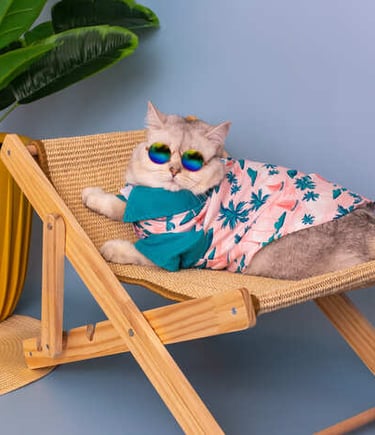 Gracioso gato con gafas de sol y una camisa tropical rosa descansando en una pequeña silla de playa