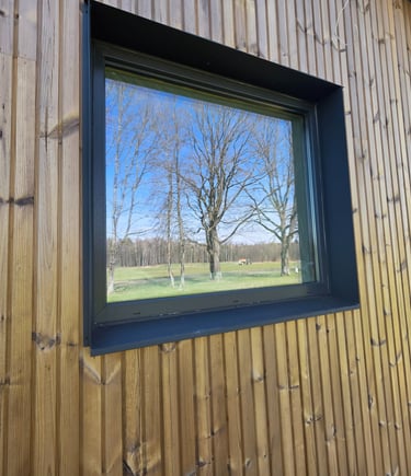 a window with a view of a tree in the background