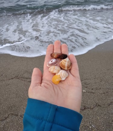 A person holding a shellfish in their hand