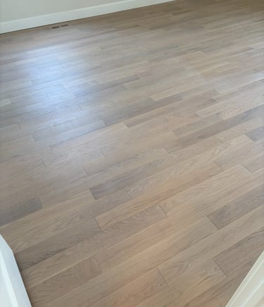 A wide shot of light oak hardwood flooring with a smooth matte finish in a bright modern room. 