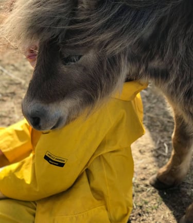 La tête d'un poney sur l'épaule d'une enfant lors d'une séance d'équithérapie