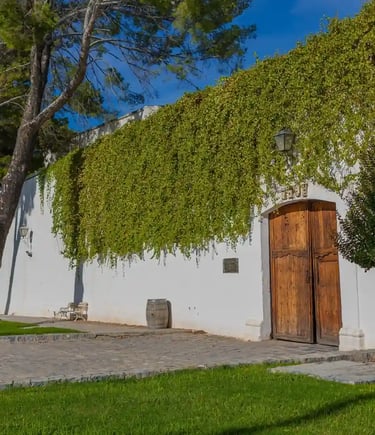 tours viñedos en parras coahuila