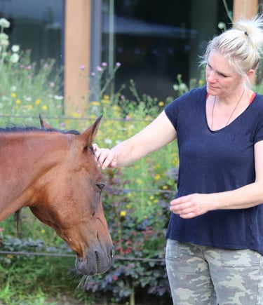 bruin paardenhoofd dat geaaid wordt door een blonde vrouw in een legerbroek met een blauw shirt