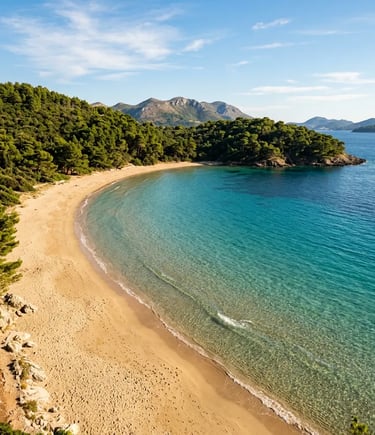 Šunj sandy beach on Lopud Island with turquoise water and pine forest 