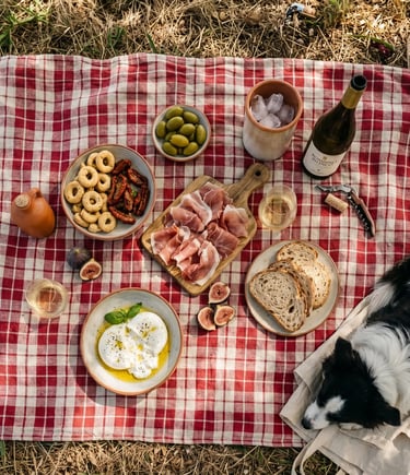 Pet-friendly Puglia picnic spread with burrata, prosciutto, taralli and Bombino Bianco wine