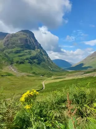 Lush green Glencoe valley with dramatic mountain peaks and wildflowers in foreground