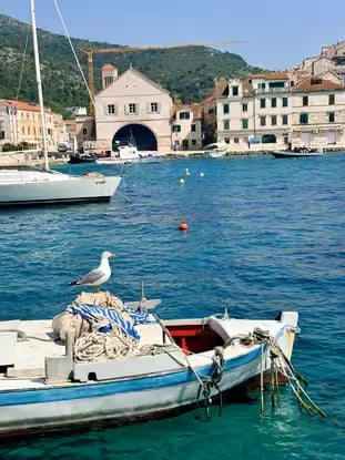 Blue fishing boat with seagull in Vis Island harbor, turquoise Adriatic water