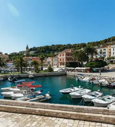 Hvar harbor lined with boats and palm trees on a clear sunny day, Croatia