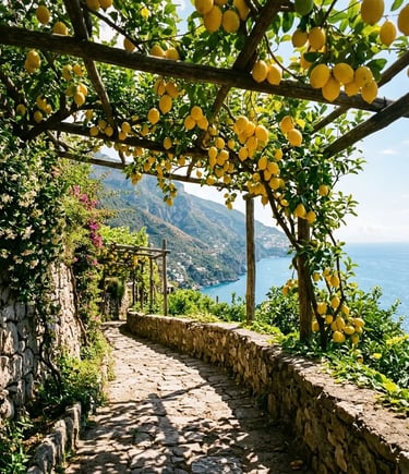 Lemon grove pergola pathway with sea views overlooking the Amalfi Coast and Gulf of Salerno
