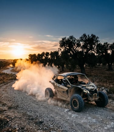 Buggy racing on gravel track with large dust cloud, silhouette of olive trees at sunset, Puglia