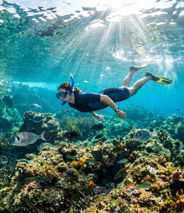 Woman snorkeling above vibrant reef with tropical fish in Adriatic Sea