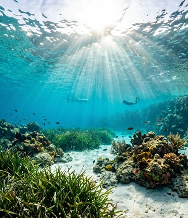 Underwater view of snorkelers, sunrays and seagrass in clear Adriatic water near Hvar.