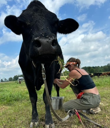 Kia-Beth milking Fern