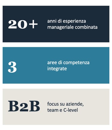 Infografica con 20 anni di esperienza manageriale, 3 aree di competenza e focus su consulenza B2B.