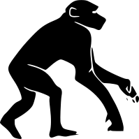 singe 1