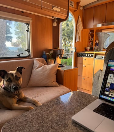 Seamus' Vanilfe office