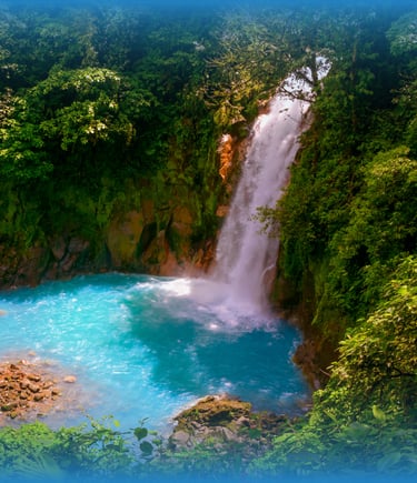 Viajes Bojórquez