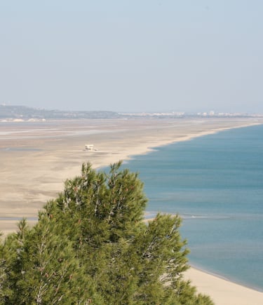 plage des Coussoules à Leucate La Franqui 