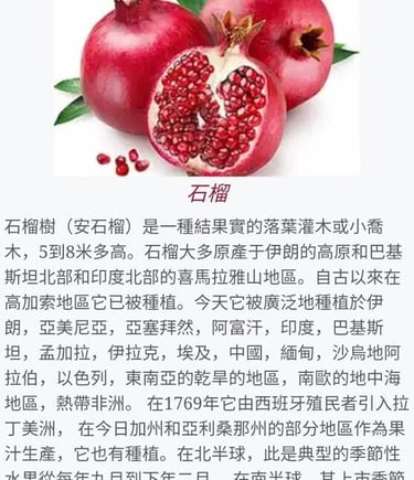a picture of a pomegranatent with chinese characters