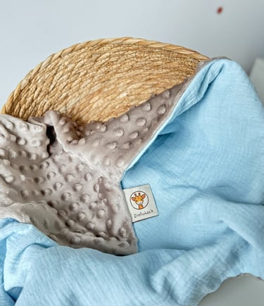 rudas su mėlynu pledukas