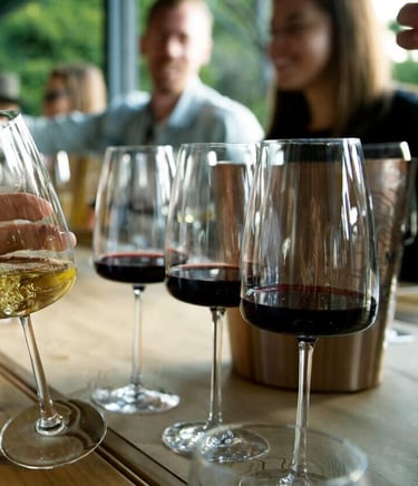 Conjunto de pessoas a divertir-se numa prova de vinhos em casa.