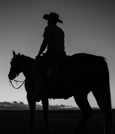 a silhouette of a man in a cowboy hat riding a horse