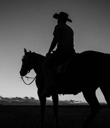 a man in a cowboy hat riding a horse, cowboy silhouette