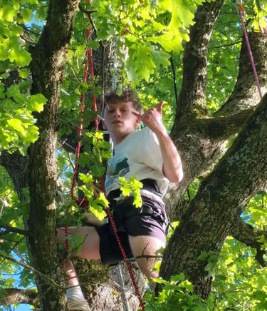 participant dans l'arbre