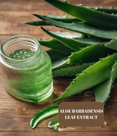aloe barbadensis leaf axtract aloe vera extratı