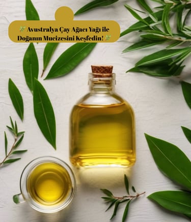 avustralya çay ağacı yağı tea tree oil