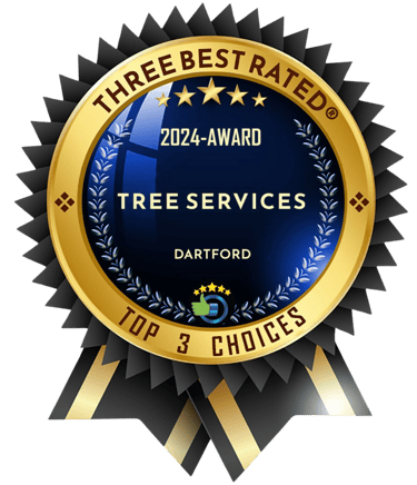 tree surgeon awards