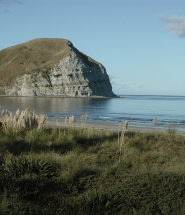 Mahia Beach in the morning, looking towards Mokotahi cliffs.
