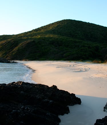 Photo of McBrides Beach, Forster, New South Wales