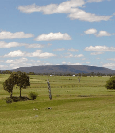 Picture of View of Mount Duval with farms in the foreground