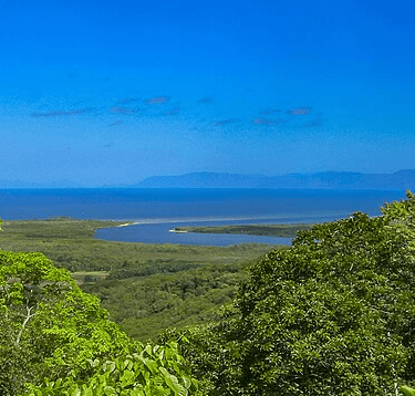 View from Daintree National Park, 2009