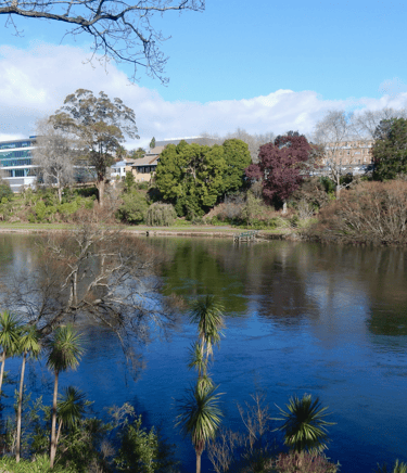 Waikato River in Hamilton Central from Parana Park