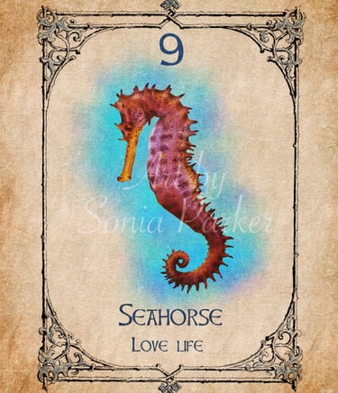 Seahorse card from the animal spirit oracle deck